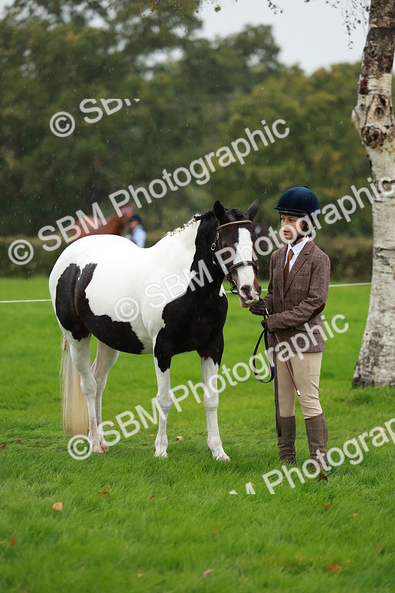 SBM_34904 - S10 - Best In Hand Horse & Pony