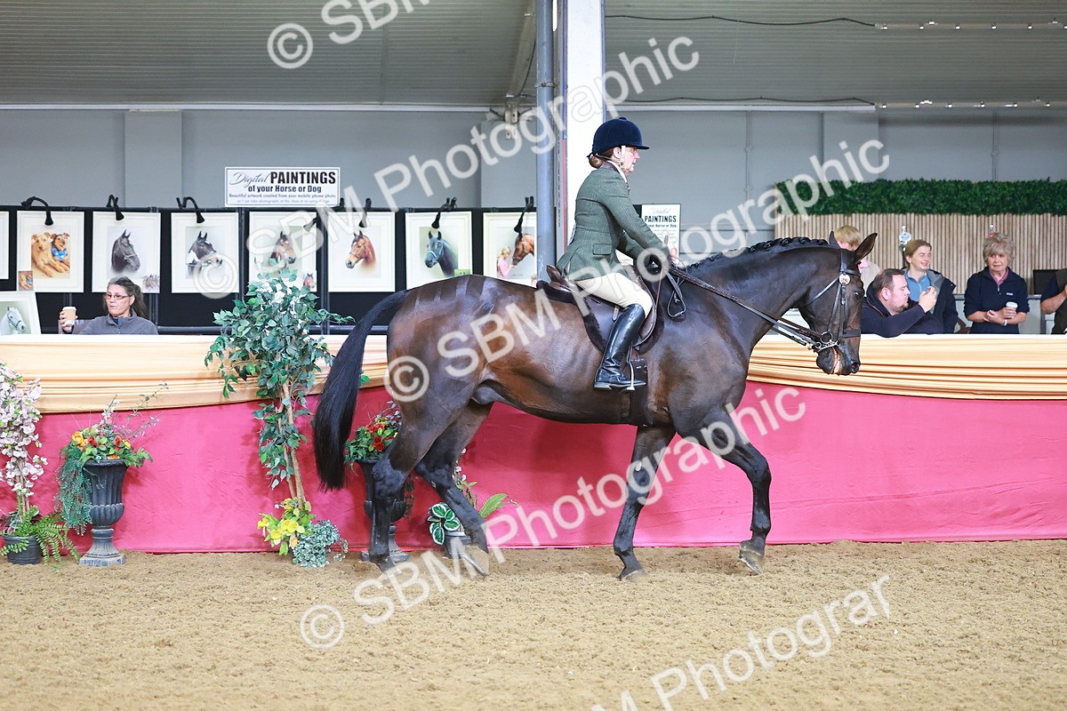 SBM_07611 - Class 101 - HOYS Veteran Qualifier - Ridden Diamond
