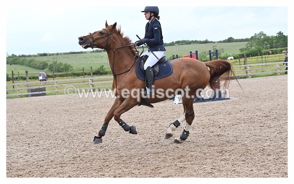 BPP_0880 - CLASS 2 FRI British Novice/ 90cm Open
