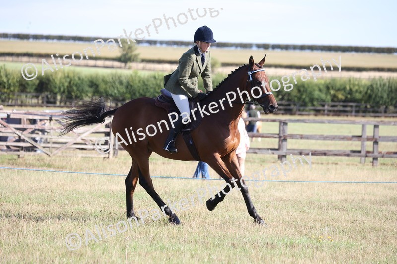 20260906-0387 - Class 14 - Ex Racehorse