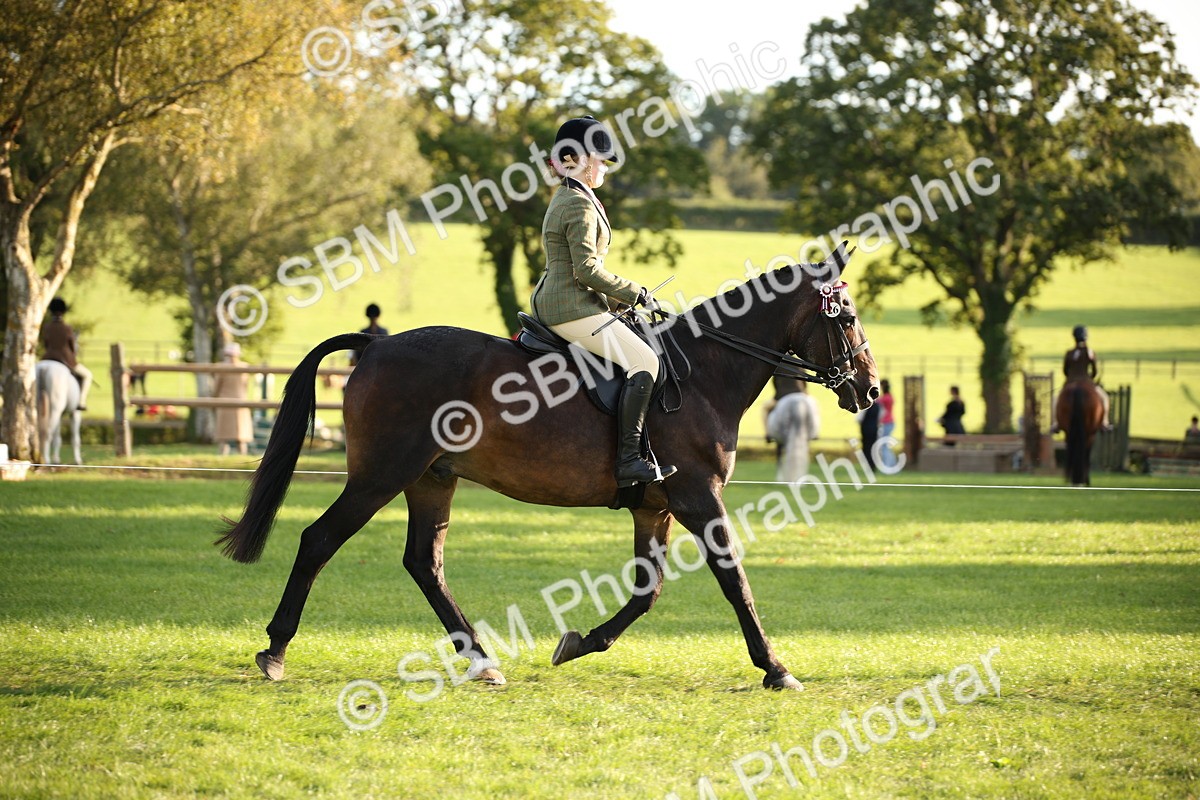 SBM_54381 - S27 - Mature Veteran - Ridden