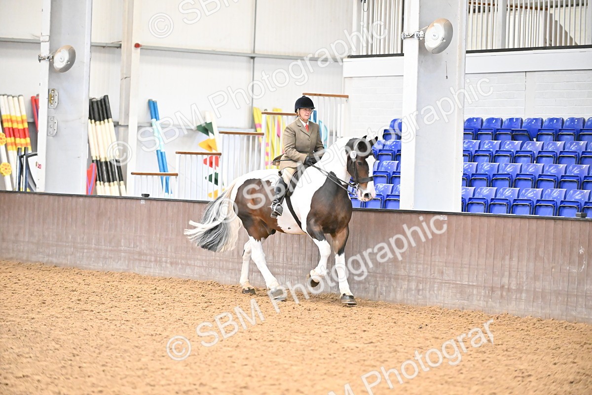 SBM_002632 - Class 28,29 - Ridden Irish & Coloured