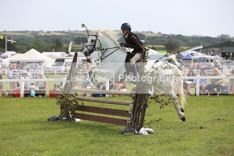 JPP_4017 - Class 24: Working Hunter 90cm