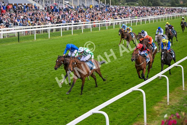 220824-Race 6-Angel Hunter-7844 - Race 6 4.45pm sensory-junction.co.uk Autism Awareness EBF Stallions Nursery Handicap