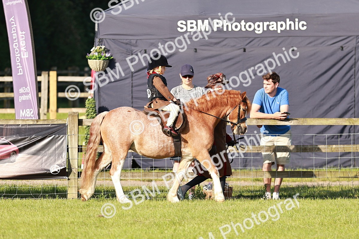 SBM_10995 - Class 106-107 - BSPS LIHS Working Sports Pony