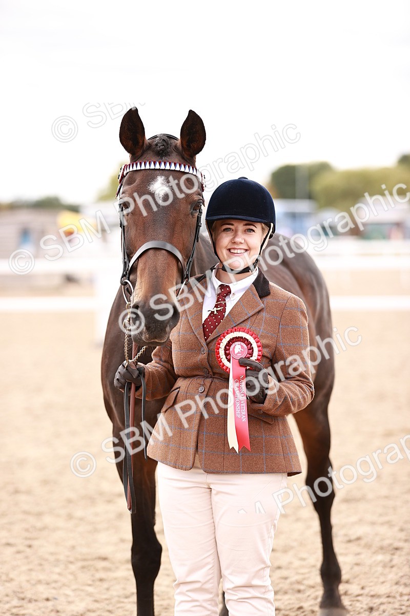 SBM_16142 - Class 411 - Prettiest Mare - (IH or Ridden Adult)