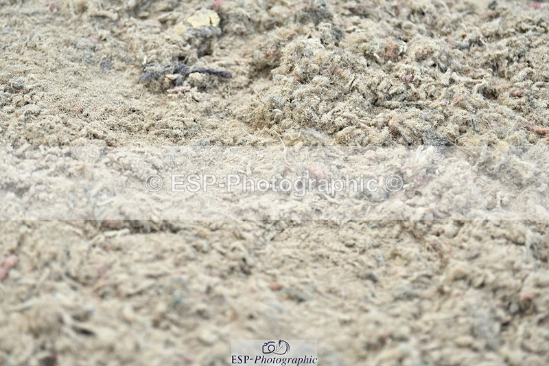 230721A-103652-05217 - Cls 30, 6 Yr Olds 1.20m