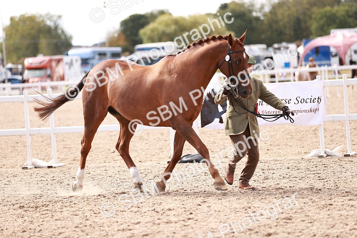 SBM_13374 - class 406 - IH Hunter