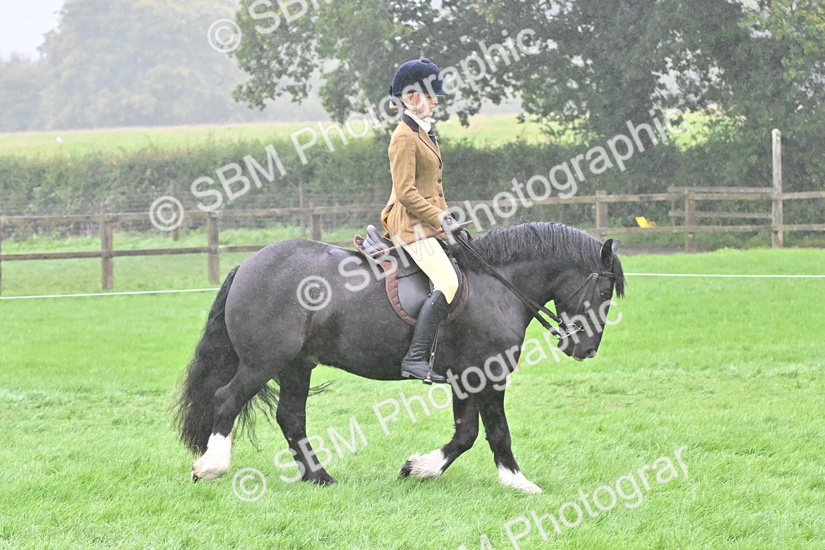 SBM_72410 - S43 - Ridden Equitation Best Rider