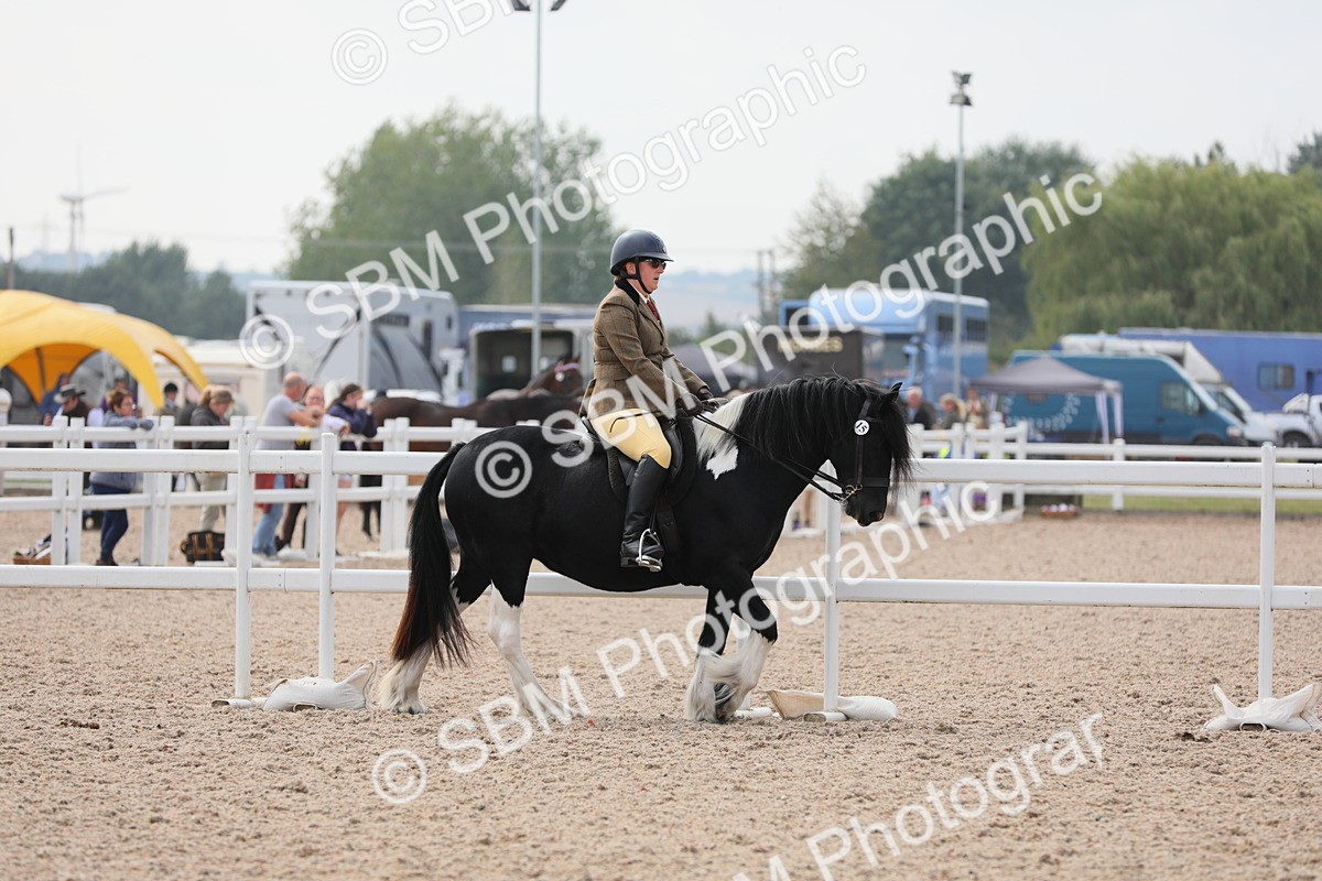 SBM_12655 - Class 307 Ridden Coloured Pony