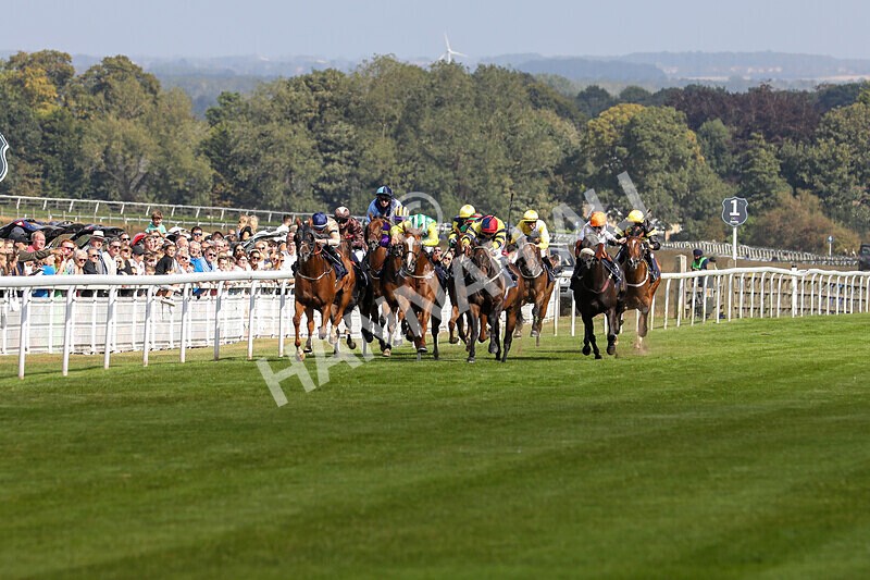 310824-Race 3-Frank The Spark-1316 - Race 3