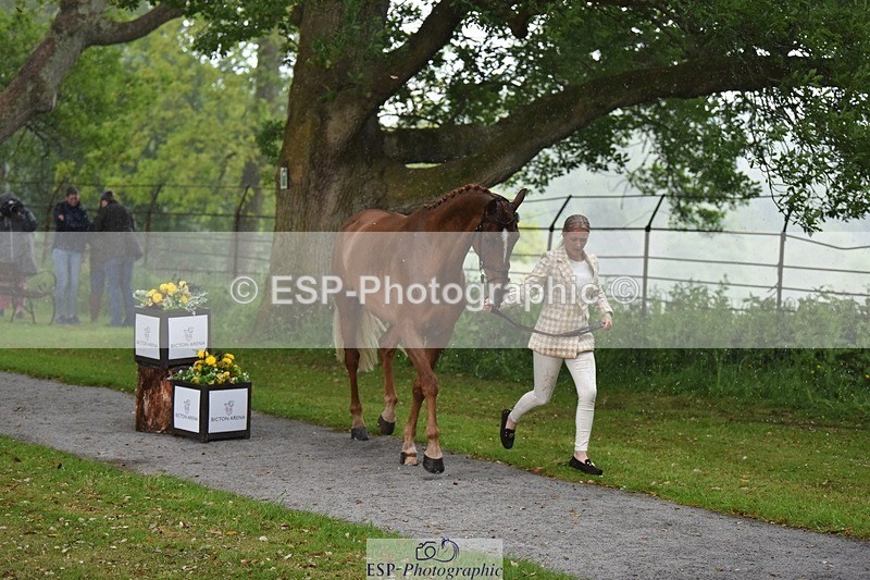 240522-151530-00208 - 309-GOLIATH_DU_LOIR-Yasmin_Ingham