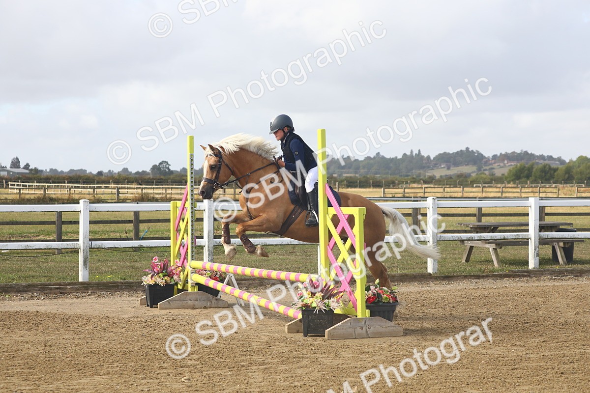 SBM_005320 - Class 4 - 50cm Champs