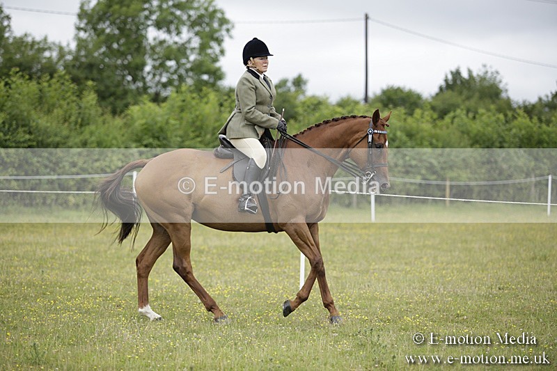 BVR160717-446 - Ring 1 BVRC Show 16/07/17