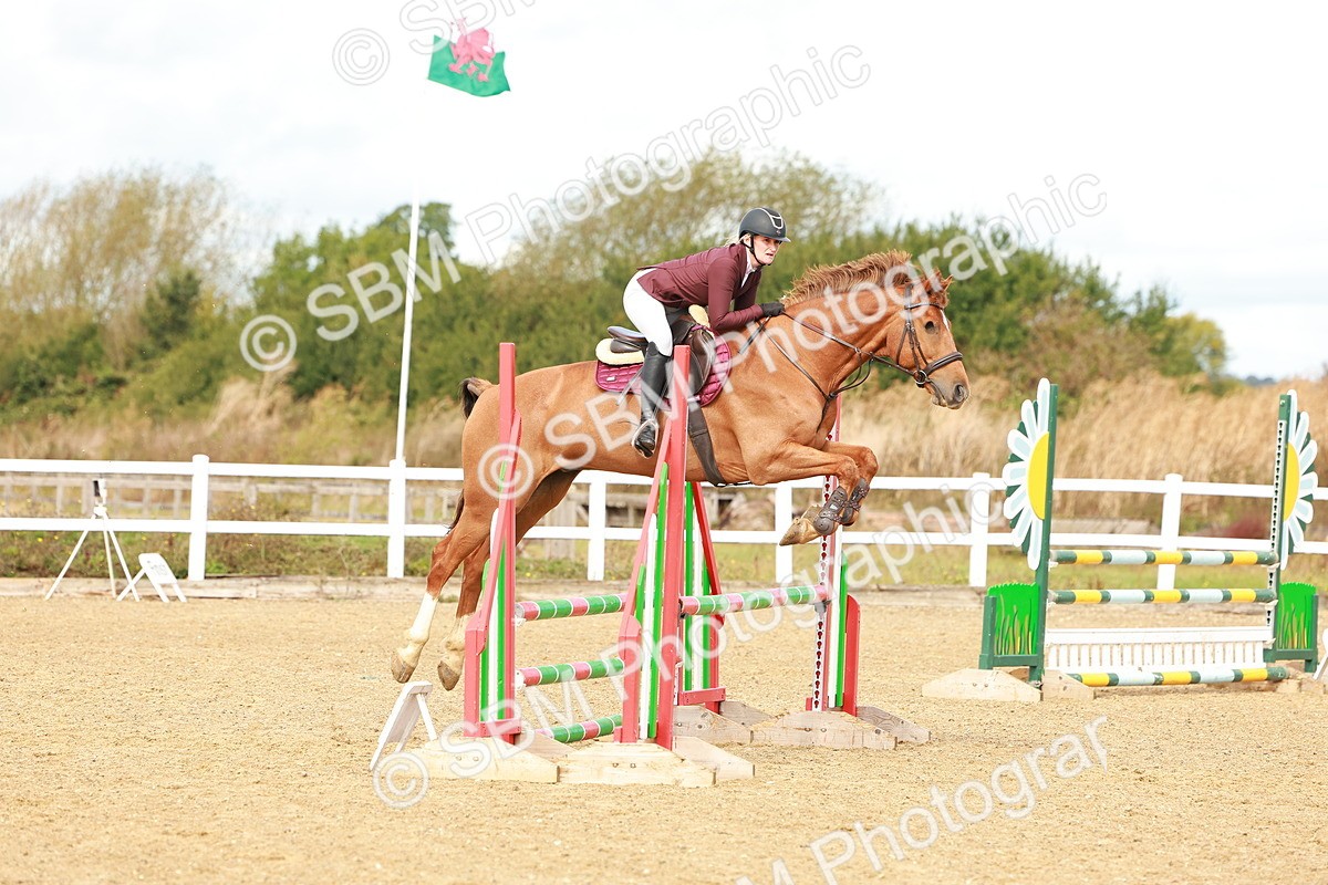 SBM_000440 - Class 2 - Senior British Novice - 90cm