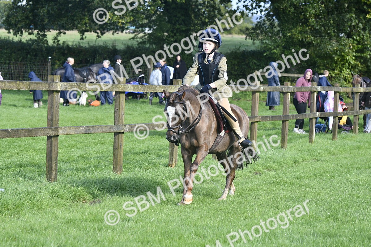 SBM_37225 - S31 - Novice & Newcomer Working Hunter Pony