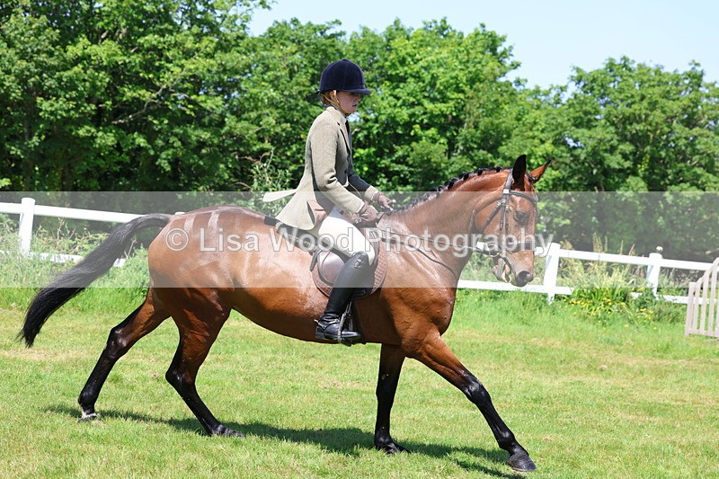 3E7A7182 - Class 30: Novice Working Hunter