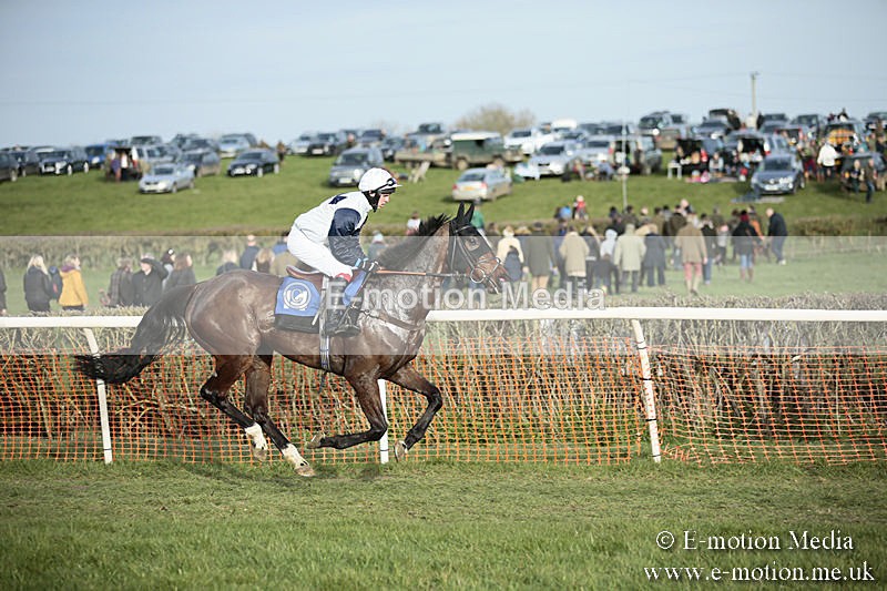 PtP 230319 505 - VWH Hunt Siddington Point-to-Point Racing 23/03/19
