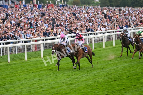 230825-Race 2-Tarriance-9996 - Race 2 2.25pm Sky Bet Melrose Handicap