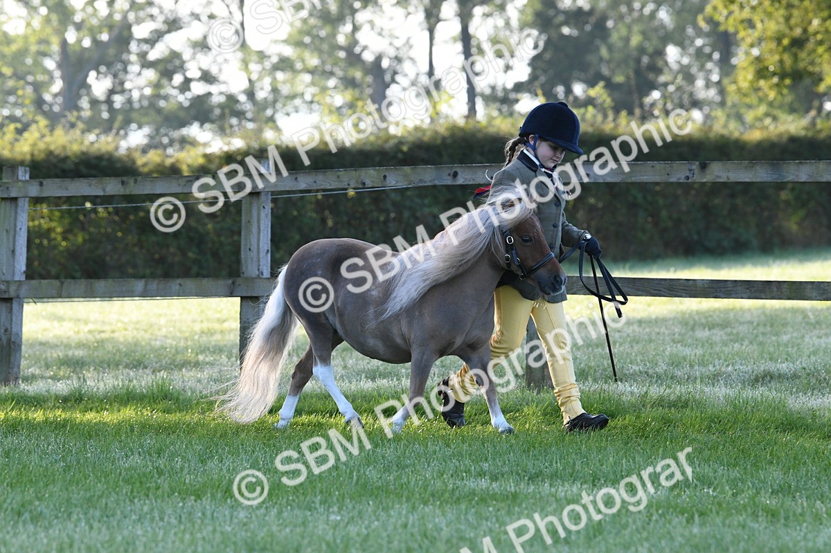 SBM_32605 - S15 - Condition & Turnout In Hand