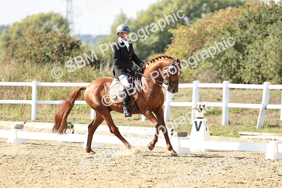 SBM_015376 - Class 9 - Advanced medium 3