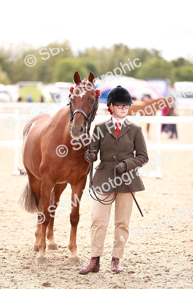 SBM_16329 - Class 413 - Best Condition - Adult