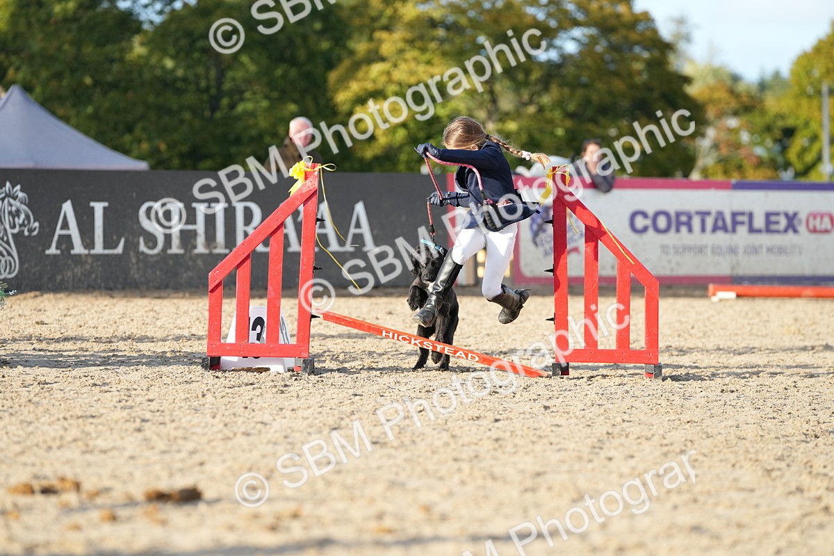 SBM_29392 - J44 - Horse & Hound Open 70cm
