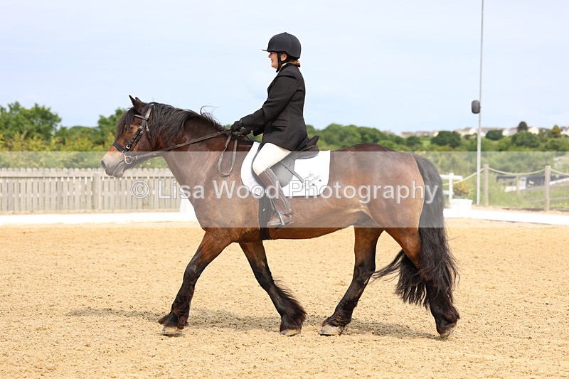 3E7A9095 - Class 2: Intro 1 2024 Section B