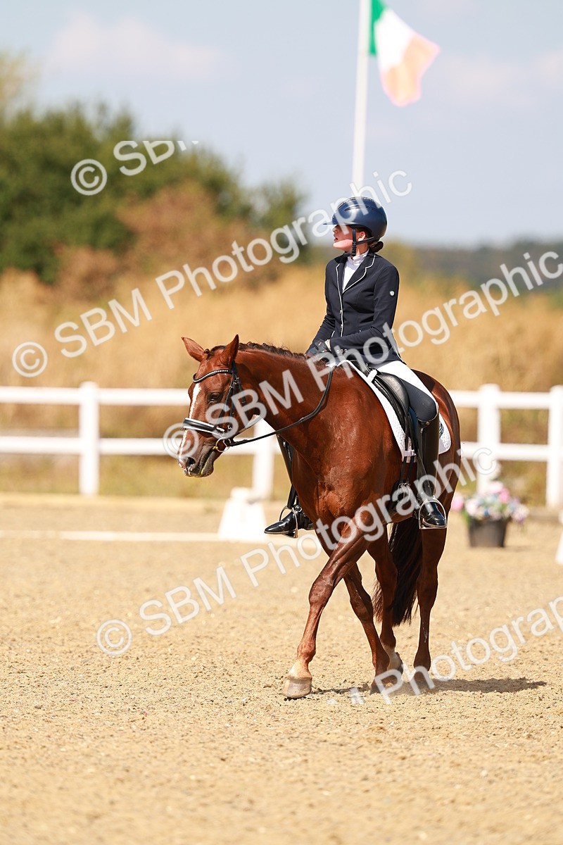 SBM_018352 - Class 9 - N5 Bronze 11.57.13.07