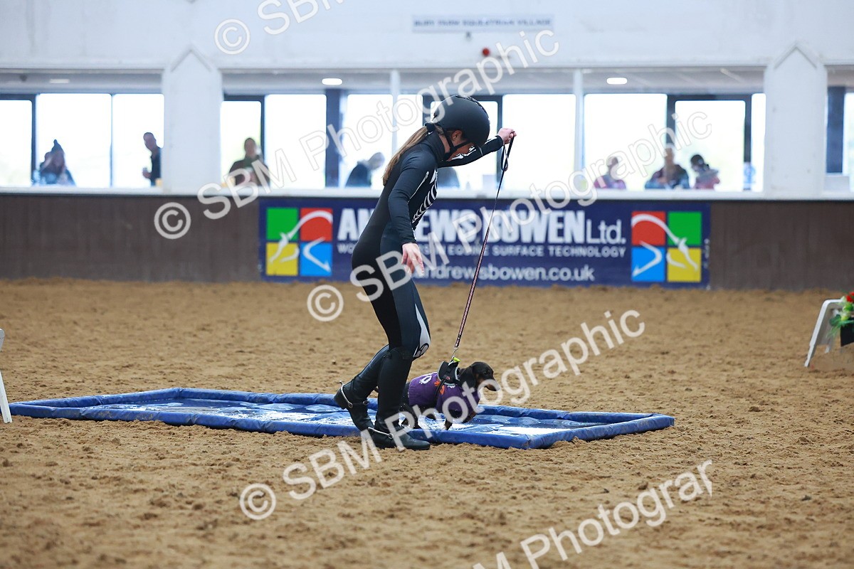 SBM_001609 - Class 3 - Horse & Hound (60cm)