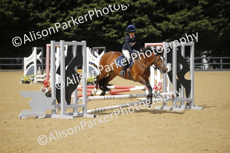 20250622-3874 - 50cm