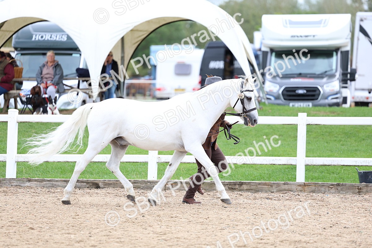 SBM_05884 - Class 29 - IH Veteran Pony