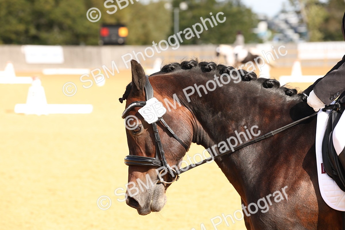 SBM_02357 - D10 - Small Tour Championship Prelim 2
