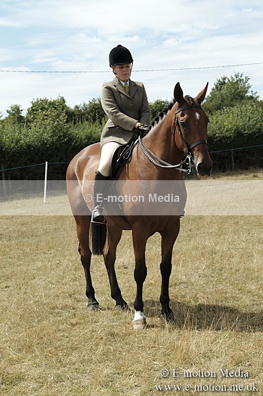 _PJP6034 - BVRC Show 2018 Ring 1