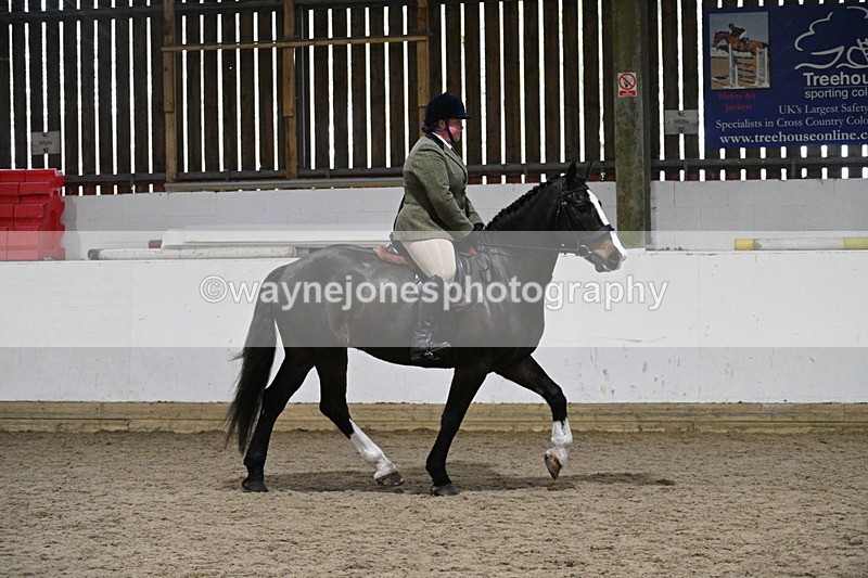 WJ7_3935 - Class 17 Ridden Cob