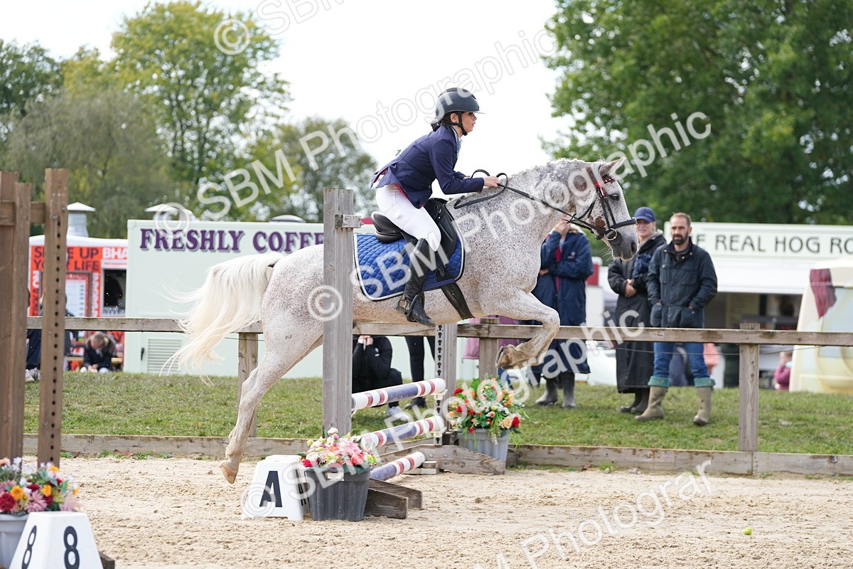 SBM_44268 - J7 - Junior Pony 60cm Championship