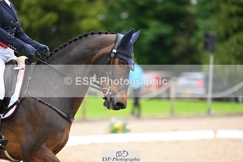 240524-181032-11588 - 164-MOONLIT_SWAYZE-Daisy_Bathe