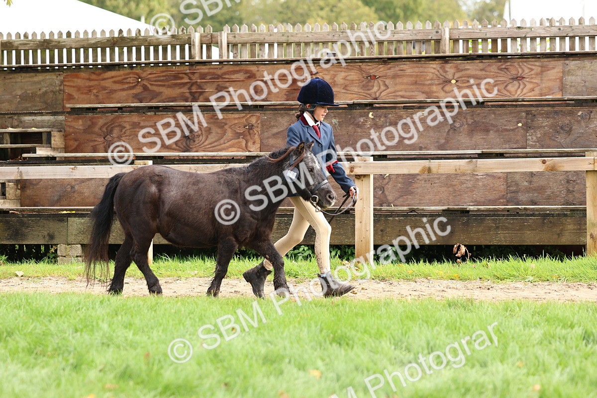 SBM_40718 - S25 -  Veteran In Hand