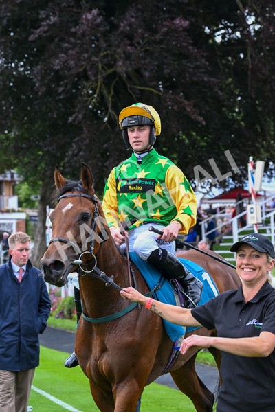 120724-Race 3-Royalty Bay-6029 - Race 3 3.15pm William Hill Keep Your Raceday Positive Irish EBF Fillies' Novice Stakes