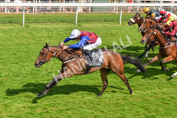 160623-Race 5-Harvanna-6382 - Race 5 4.10pm Juddmonte British EBF Fillies' Restricted Novice Stakes