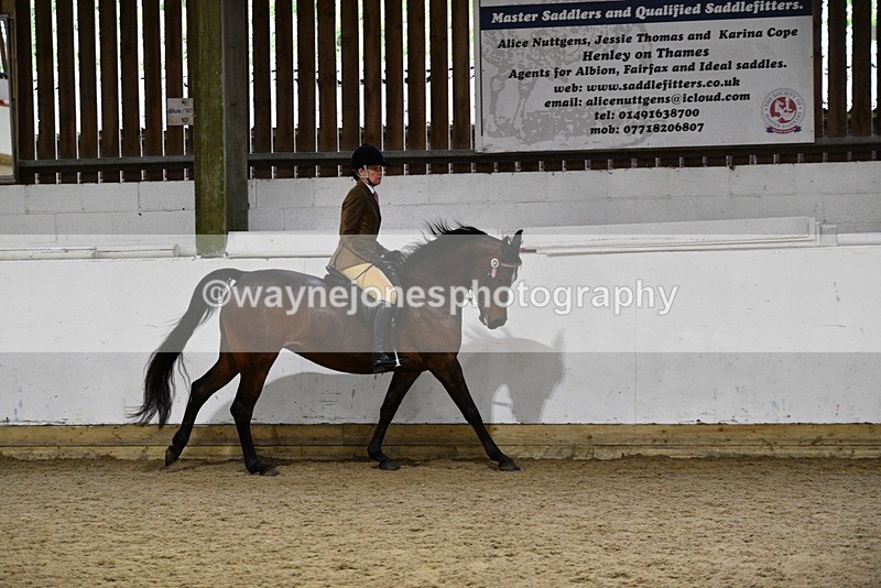 WJ5_8797 - Class 15 Ridden Show Horse