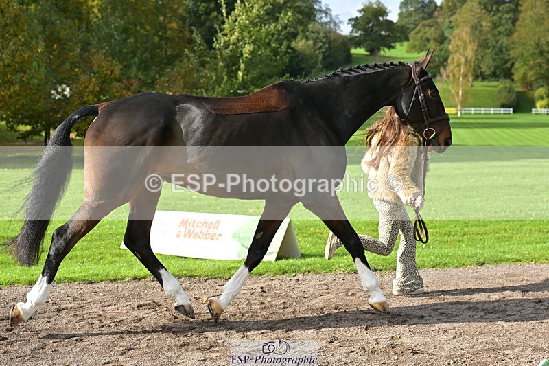 241023-132326-00254 - 016-Liberty.Smith-MODEL.T