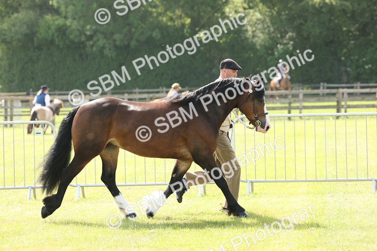 SBM_02157