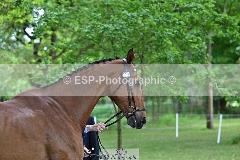 250521A-155214-00811 - B-375-Lucas.Poole-GERDEAKER