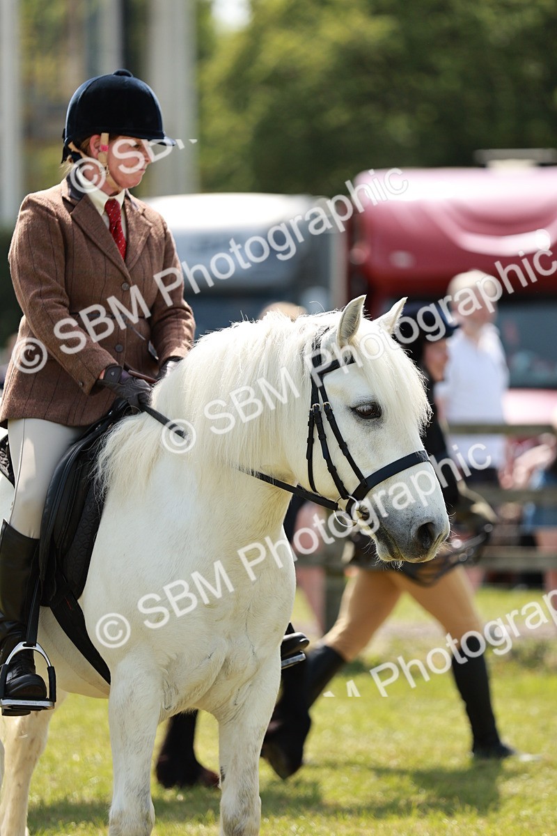 SBM_07186 - Class 26-30 - Mountain and Moorland Ridden
