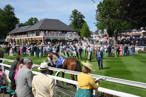 yr09072022r4-2 - Race 4 3.30pm John Smith's Nursery Stakes