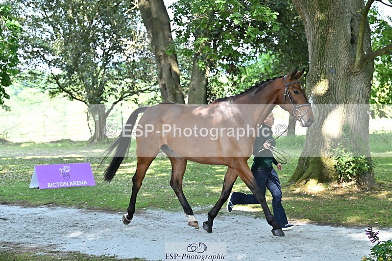 250521A-160535-00910 - C-271-Kirsty.Chabert-OPPOSITION.HELIOS