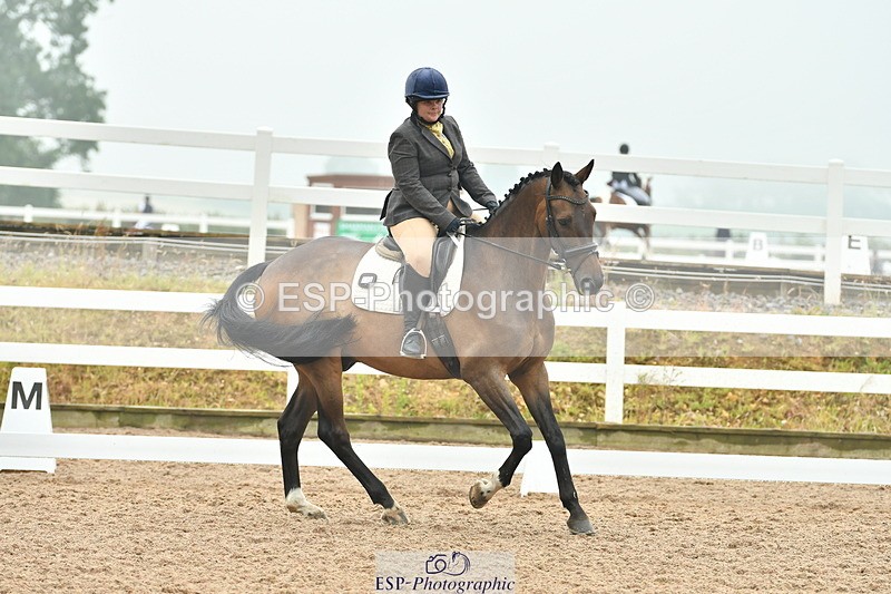 230708A-144004-02960 - Elementary 43