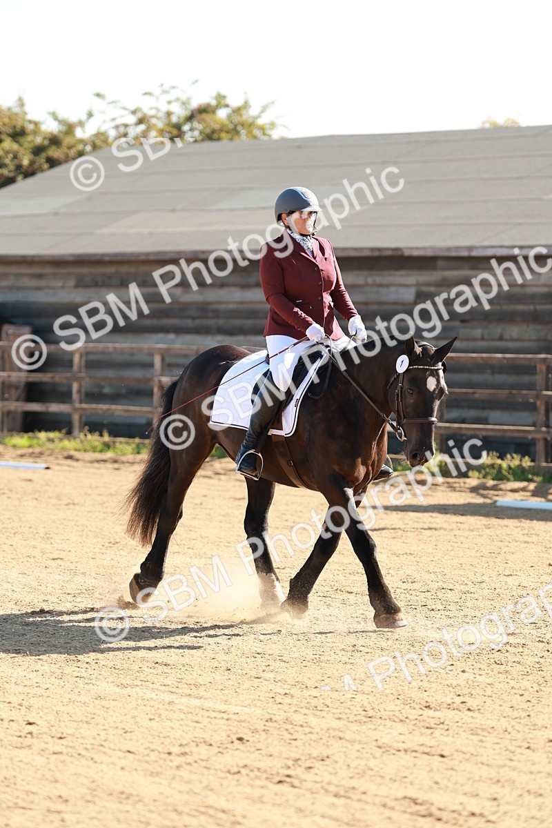 SBM_009272 - Class 2 - Intro 3