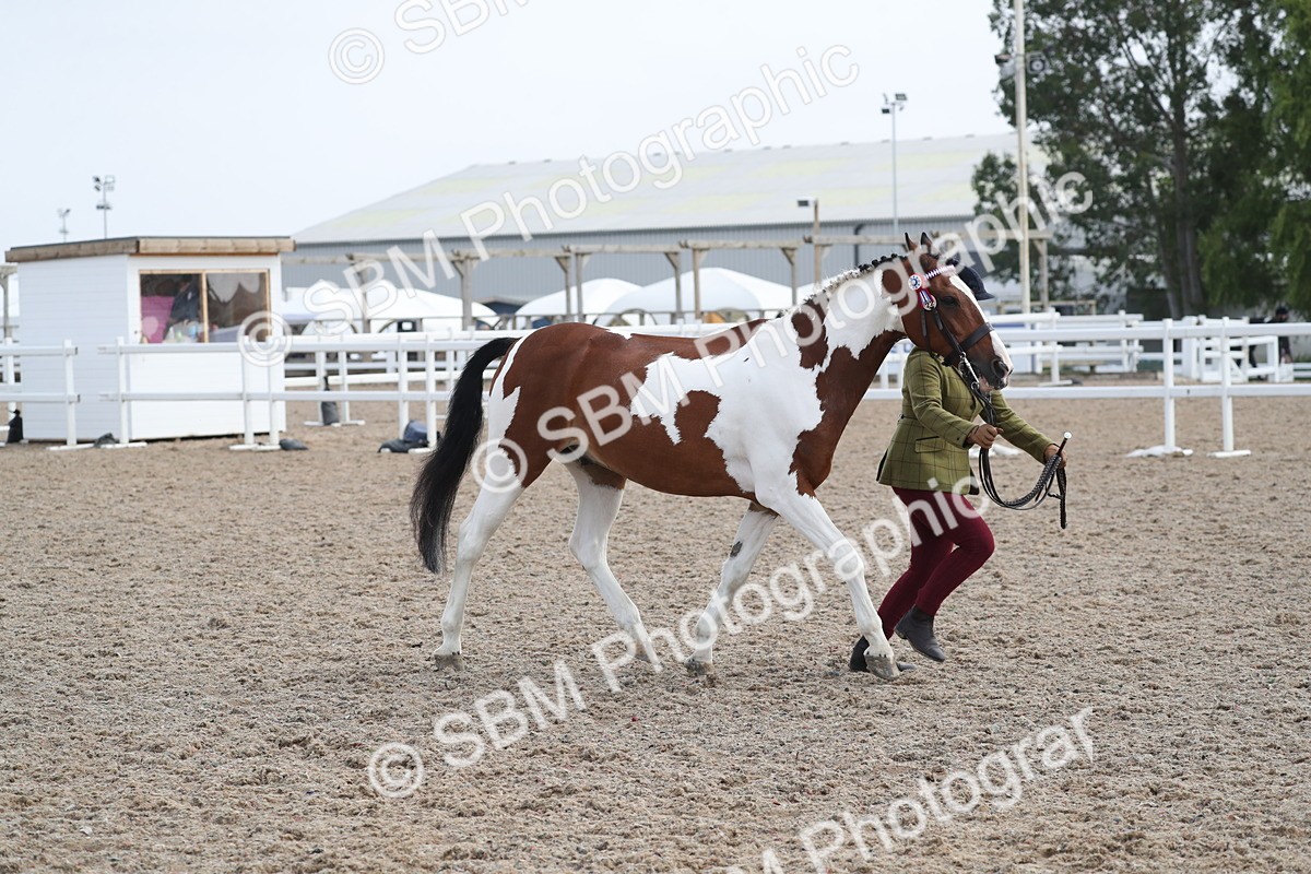 SBM_23145 - Class 605 - 2025 Area - IH Veteran